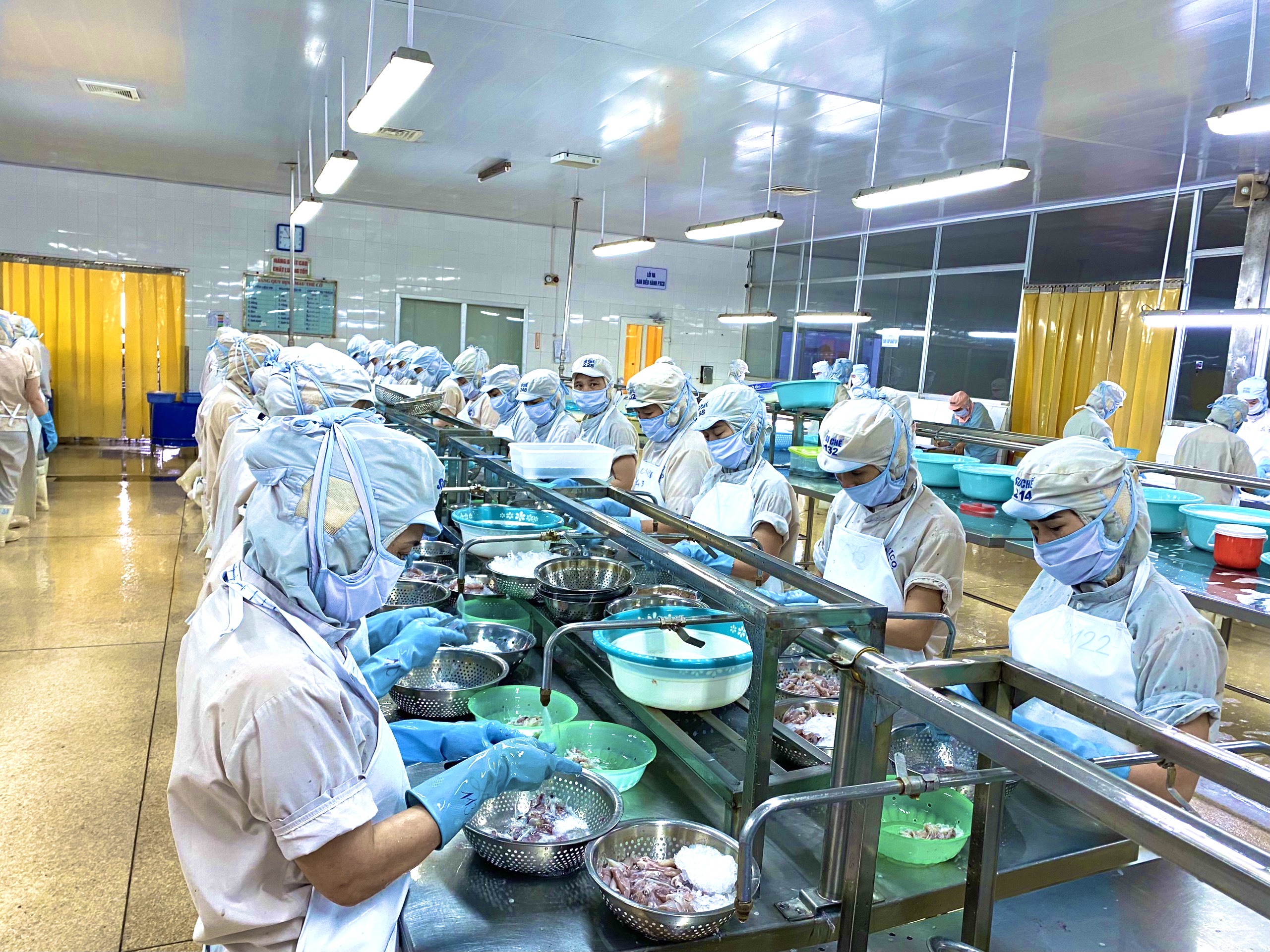 Gỡ “nút thắt” ngành chế biến thủy sản Hà Tĩnh

